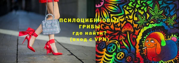 сатива Строитель