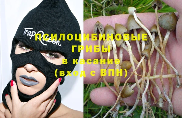 MDMA Белокуриха