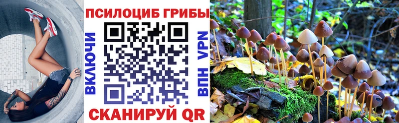 Галлюциногенные грибы мицелий  Вышний Волочёк 